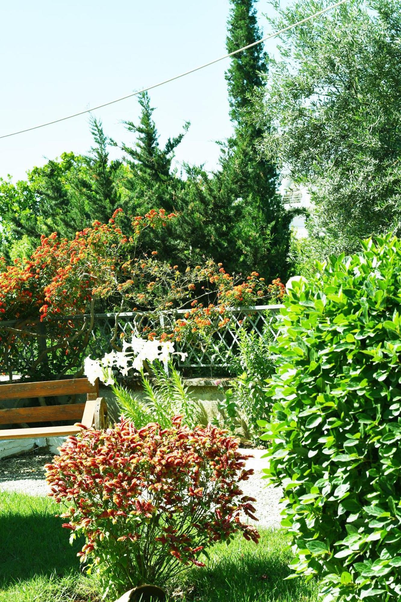 4 Seasons * Himare