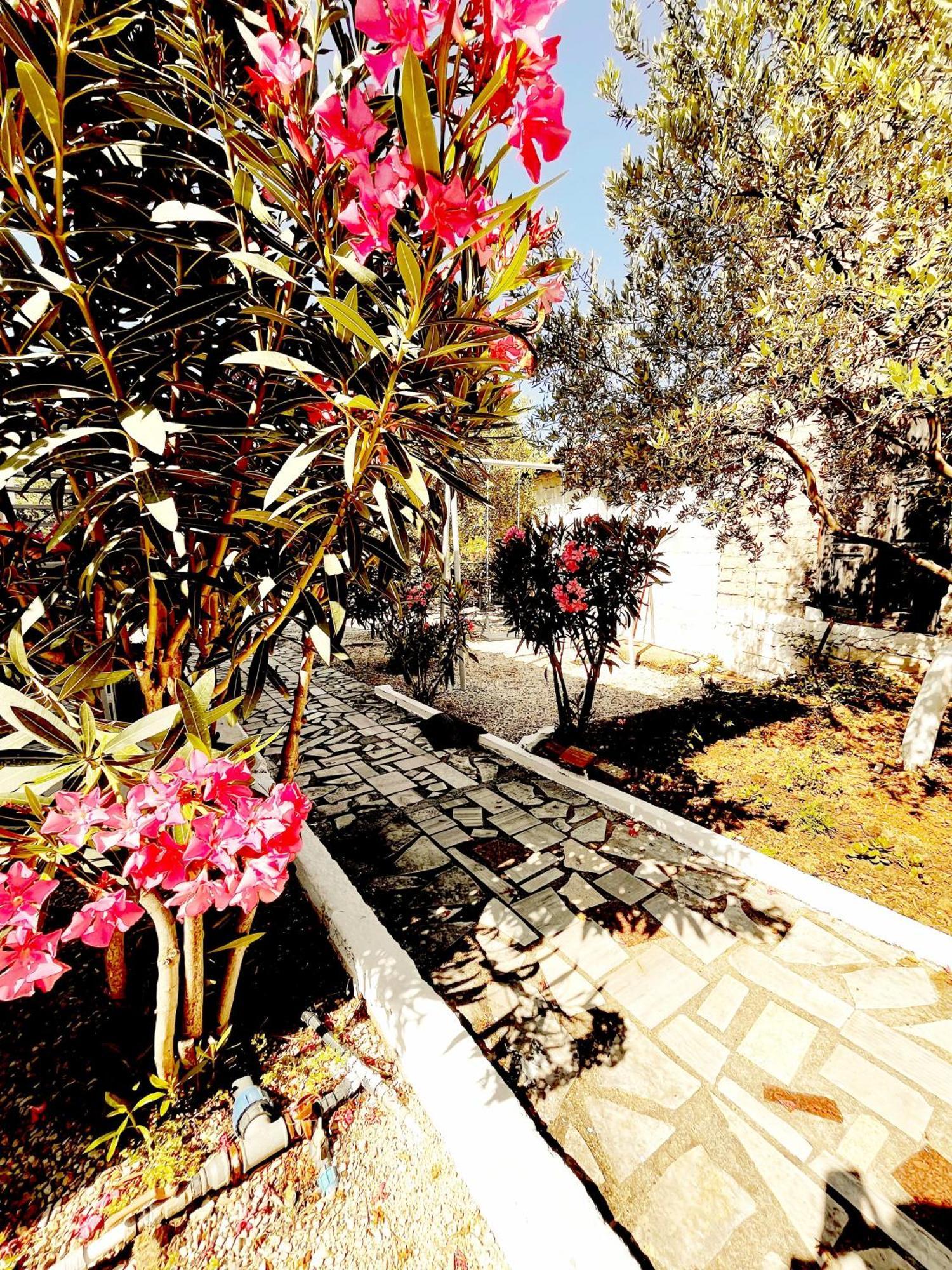 Apartamento 4 Seasons Himare